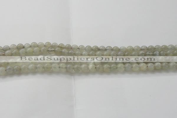 CMS1057 15.5 inches 6mm round grey moonstone beads wholesale