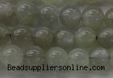 CMS1058 15.5 inches 8mm round grey moonstone beads wholesale