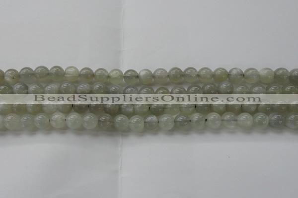 CMS1058 15.5 inches 8mm round grey moonstone beads wholesale