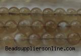 CMS1064 15.5 inches 6mm round grey moonstone beads wholesale