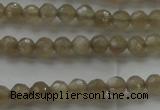 CMS1066 15.5 inches 4mm faceted round grey moonstone beads wholesale