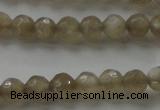 CMS1067 15.5 inches 6mm faceted round grey moonstone beads wholesale