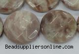 CMS114 15.5 inches 25mm faceted coin moonstone gemstone beads