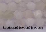 CMS1154 15.5 inches 8mm faceted nuggets white moonstone beads