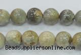 CMS122 15.5 inches 12mm round moonstone gemstone beads wholesale