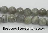 CMS124 15.5 inches 10mm faceted round moonstone gemstone beads