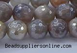 CMS1313 15.5 inches 10mm faceted round AB-color grey moonstone beads