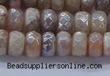 CMS1322 15.5 inches 5*8mm faceted rondelle AB-color moonstone beads