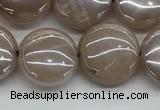 CMS1348 15.5 inches 12mm flat round AB-color moonstone beads