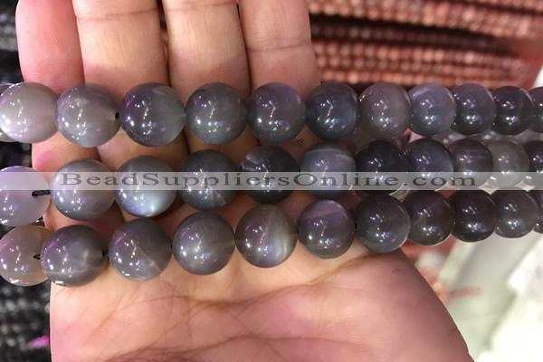 CMS1425 15.5 inches 14mm round black moonstone beads wholesale