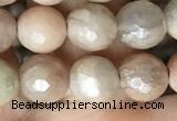 CMS1452 15.5 inches 8mm faceted round AB-color moonstone beads