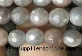 CMS1456 15.5 inches 6mm faceted round AB-color moonstone beads