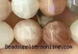 CMS1472 15.5 inches 10mm faceted round moonstone beads wholesale