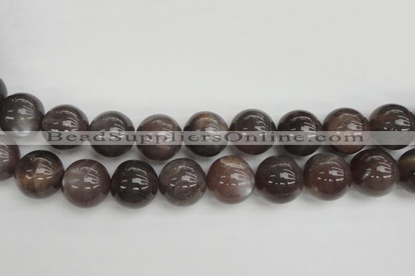 CMS149 15.5 inches 16mm round natural grey moonstone beads