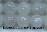 CMS1491 15.5 inches 8mm round white moonstone beads wholesale