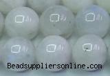 CMS1492 15.5 inches 10mm round white moonstone beads wholesale