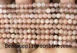 CMS1670 15.5 inches 4mm round moonstone beads wholesale