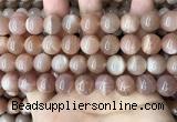 CMS1674 15.5 inches 12mm round moonstone beads wholesale