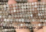 CMS1684 15.5 inches 4mm round rainbow moonstone beads wholesale