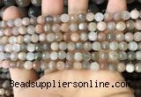 CMS1691 15.5 inches 4mm faceted round rainbow moonstone beads