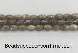 CMS1775 15.5 inches 8*12mm faceted rice AB-color moonstone beads