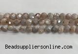 CMS1788 15.5 inches 8mm faceted coin AB-color moonstone beads