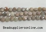 CMS1789 15.5 inches 10mm faceted coin AB-color moonstone beads