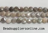 CMS1790 15.5 inches 12mm faceted coin AB-color moonstone beads