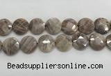 CMS1794 15.5 inches 20mm faceted coin AB-color moonstone beads