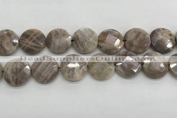 CMS1794 15.5 inches 20mm faceted coin AB-color moonstone beads