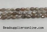 CMS1799 15.5 inches 10*14mm faceted oval AB-color moonstone beads