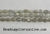 CMS1806 15.5 inches 8*12mm faceted oval AB-color moonstone beads