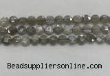 CMS1818 15.5 inches 10mm faceted coin AB-color moonstone beads