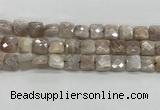 CMS1828 15.5 inches 12*12mm faceted square AB-color moonstone beads