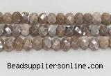 CMS1838 10*12mm - 12*16mm faceted freeform AB-color moonstone beads