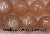 CMS1899 15.5 inches 12mm round moonstone gemstone beads