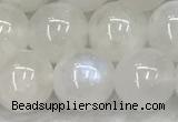 CMS1904 15.5 inches 12mm round white moonstone gemstone beads