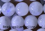 CMS1922 15.5 inches 8mm round white moonstone gemstone beads