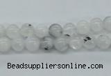 CMS201 15.5 inches 6mm round moonstone gemstone beads wholesale