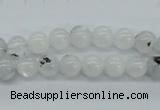 CMS202 15.5 inches 7mm round moonstone gemstone beads wholesale