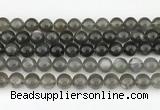 CMS2022 15.5 inches 10mm round black moonstone beads wholesale