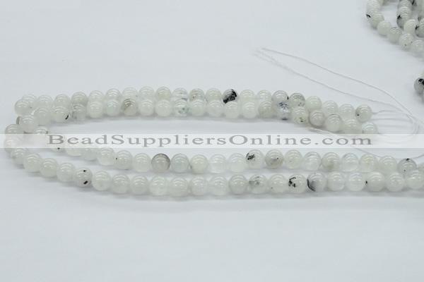 CMS203 15.5 inches 9mm round moonstone gemstone beads wholesale