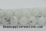 CMS204 15.5 inches 10mm round moonstone gemstone beads wholesale