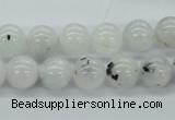 CMS205 15.5 inches 11mm round moonstone gemstone beads wholesale