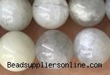 CMS2051 15.5 inches 8mm round moonstone gemstone beads