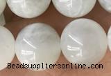 CMS2052 15.5 inches 10mm round moonstone gemstone beads