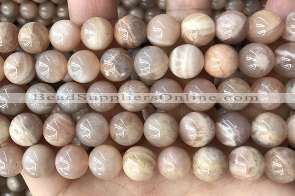 CMS2056 15.5 inches 10mm round moonstone gemstone beads