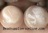 CMS2057 15.5 inches 12mm round moonstone gemstone beads