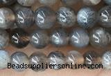 CMS2058 15.5 inches 4mm round moonstone gemstone beads