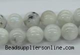 CMS206 15.5 inches 12mm round moonstone gemstone beads wholesale